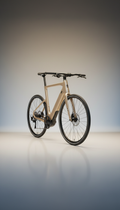 Champagne gold carbon fiber luxury edition e-bike